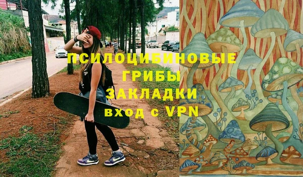 дурь Дмитриев