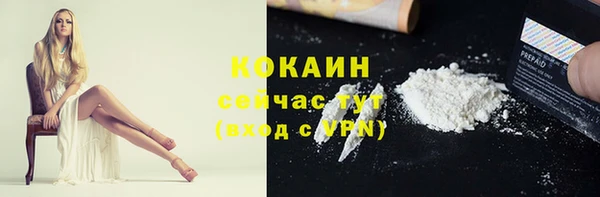 дурь Дмитриев