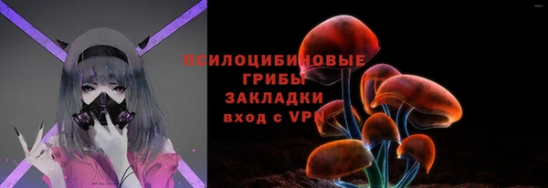 дурь Дмитриев