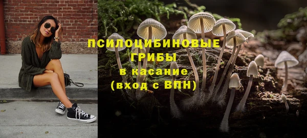 дурь Дмитриев