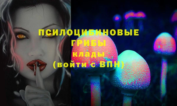 ГАЛЛЮЦИНОГЕННЫЕ ГРИБЫ Дмитровск