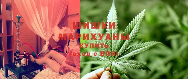 ГАЛЛЮЦИНОГЕННЫЕ ГРИБЫ Дмитровск