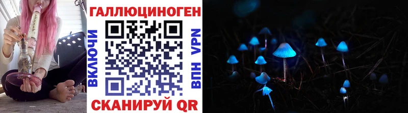 Купить где  Заводоуковск  Галлюциногенные грибы MAGIC MUSHROOMS 