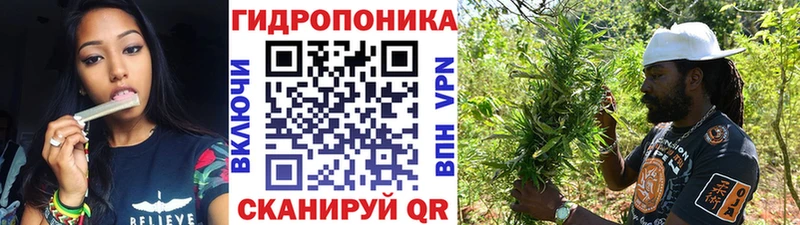 Каннабис план  Купить  Заводоуковск 
